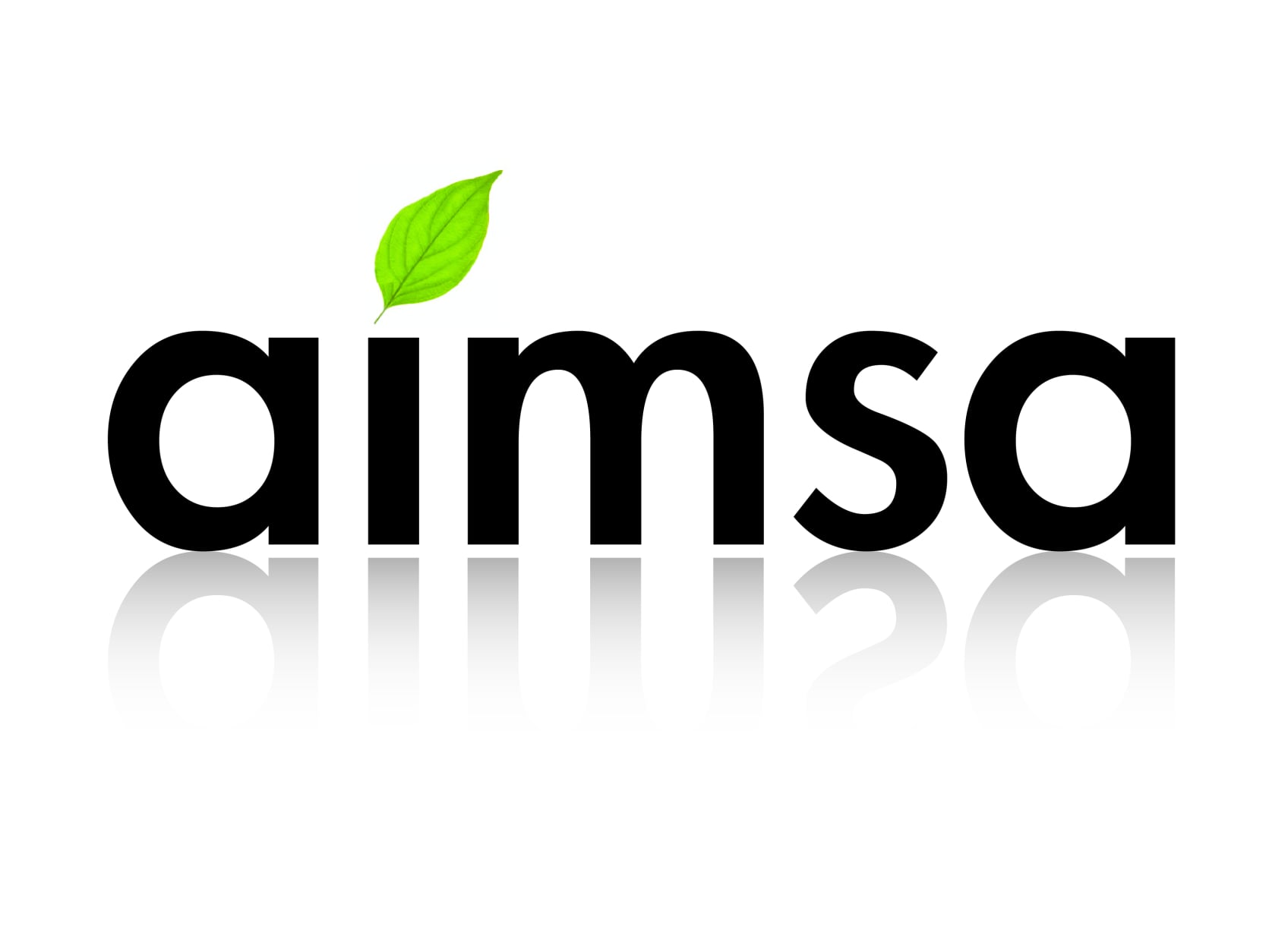 logo-aimsa-l